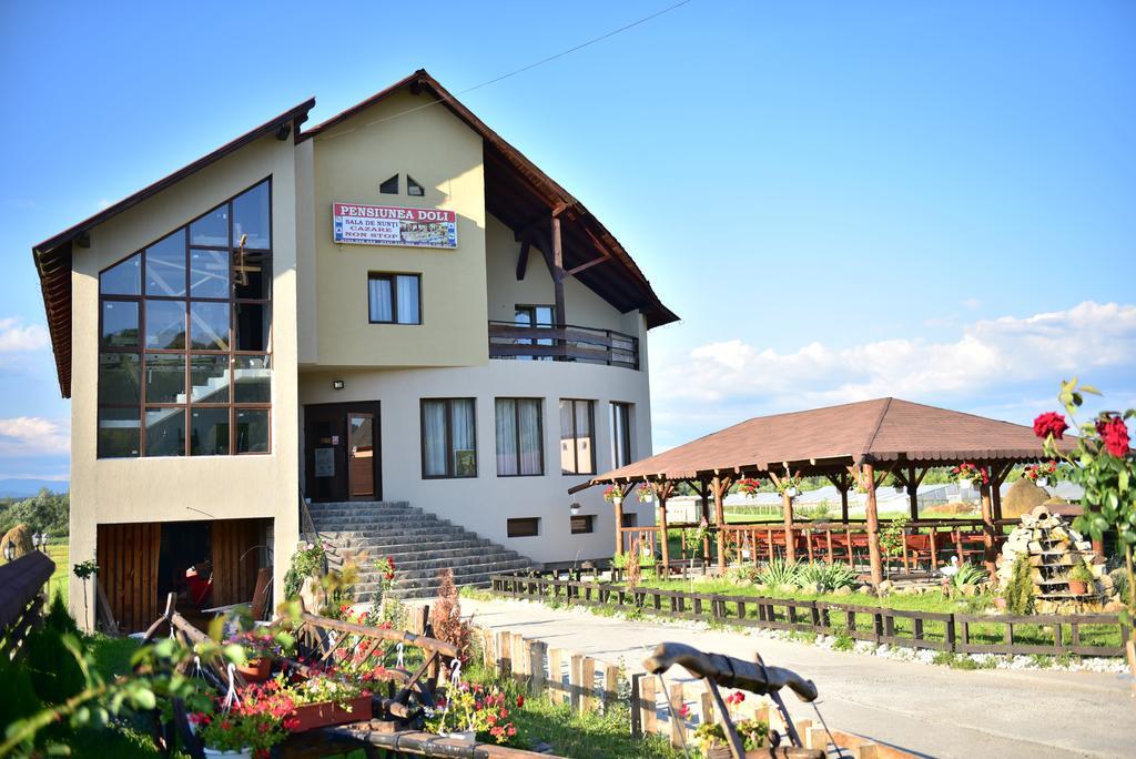 Pensiunea Doli Sighetu Marmaţiei Dış mekan fotoğraf